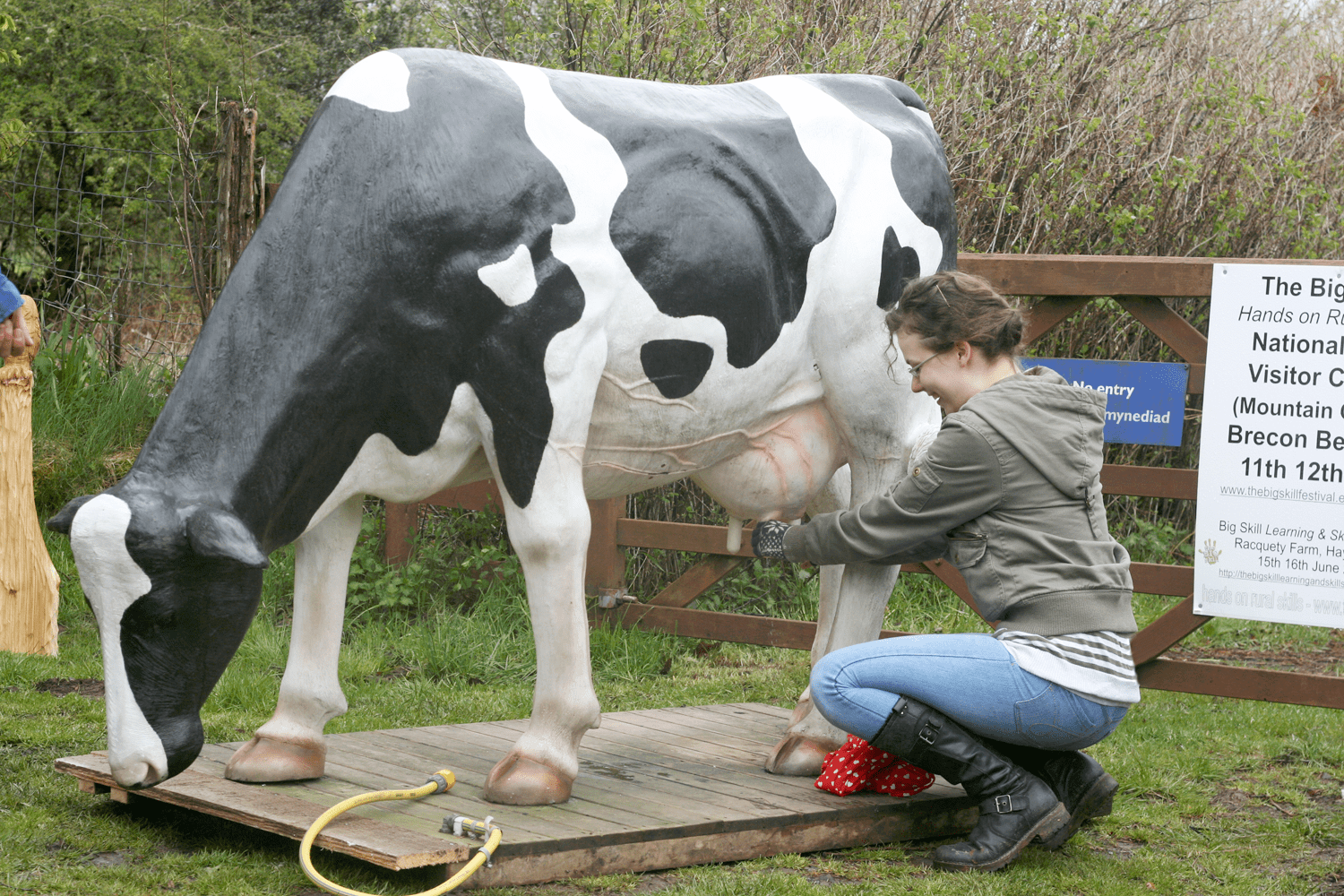 bessie-the-cow